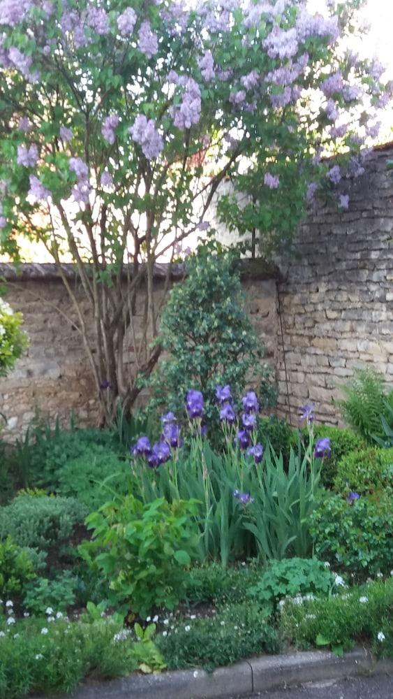 Hotel La Villa Fleurie Beaune  Kültér fotó